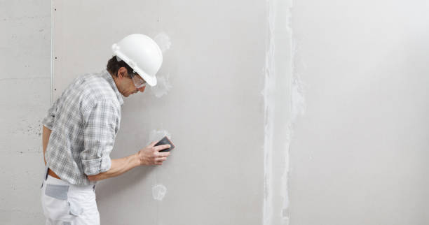 Best Drywall Sanding and Smoothing  in Roland, IA